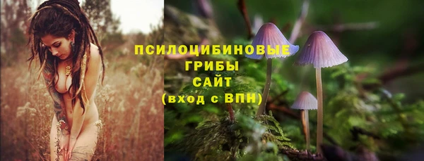 скорость Коряжма