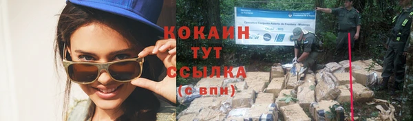 стаф Костерёво