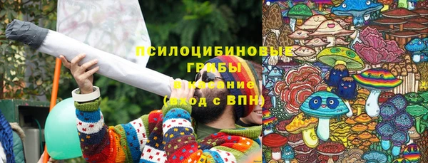 стаф Костерёво