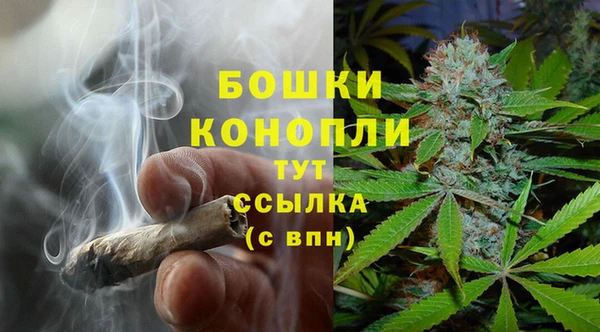 стаф Костерёво